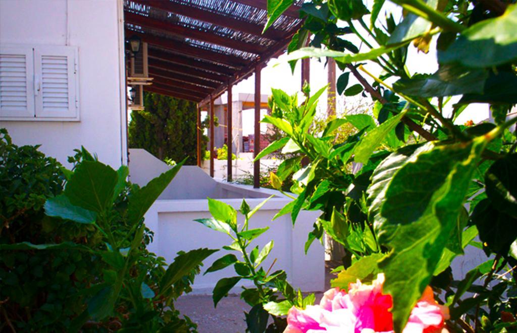 Vaso Rooms Livadakia Exterior photo